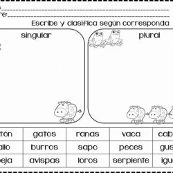 Un diario singular or plural