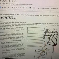 Crimes of the heart a case study on cardiac anatomy