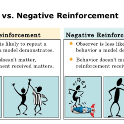 Reinforcement positive conditioning operant