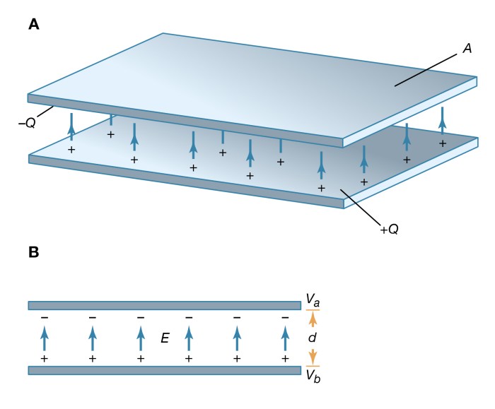 Capacitor circular plate parallel solved radius transcribed problem text been show has