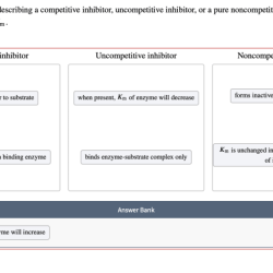 Describing phrase inhibitor classify uncompetitive